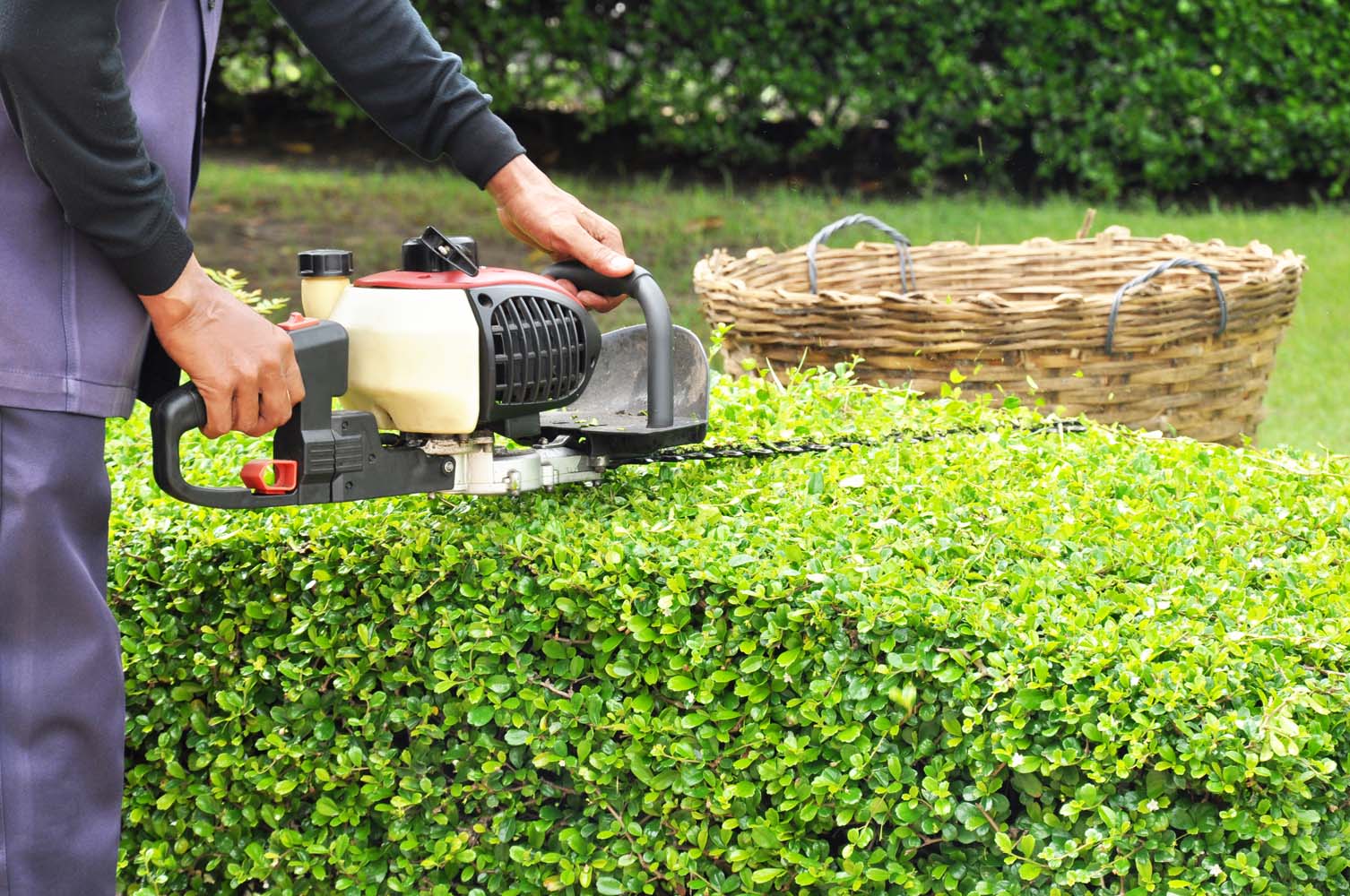 Why we should choose the Gardenhub?