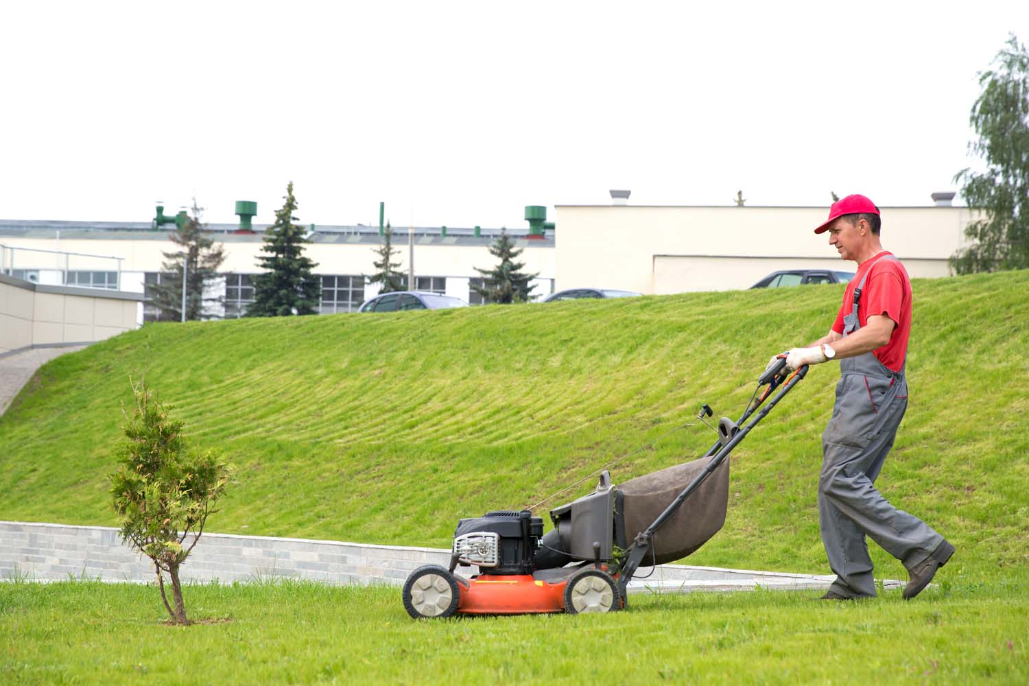 We Won The Best Landscape Company Award