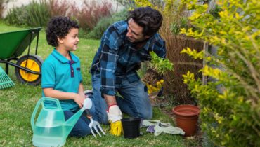 Planting and Removal