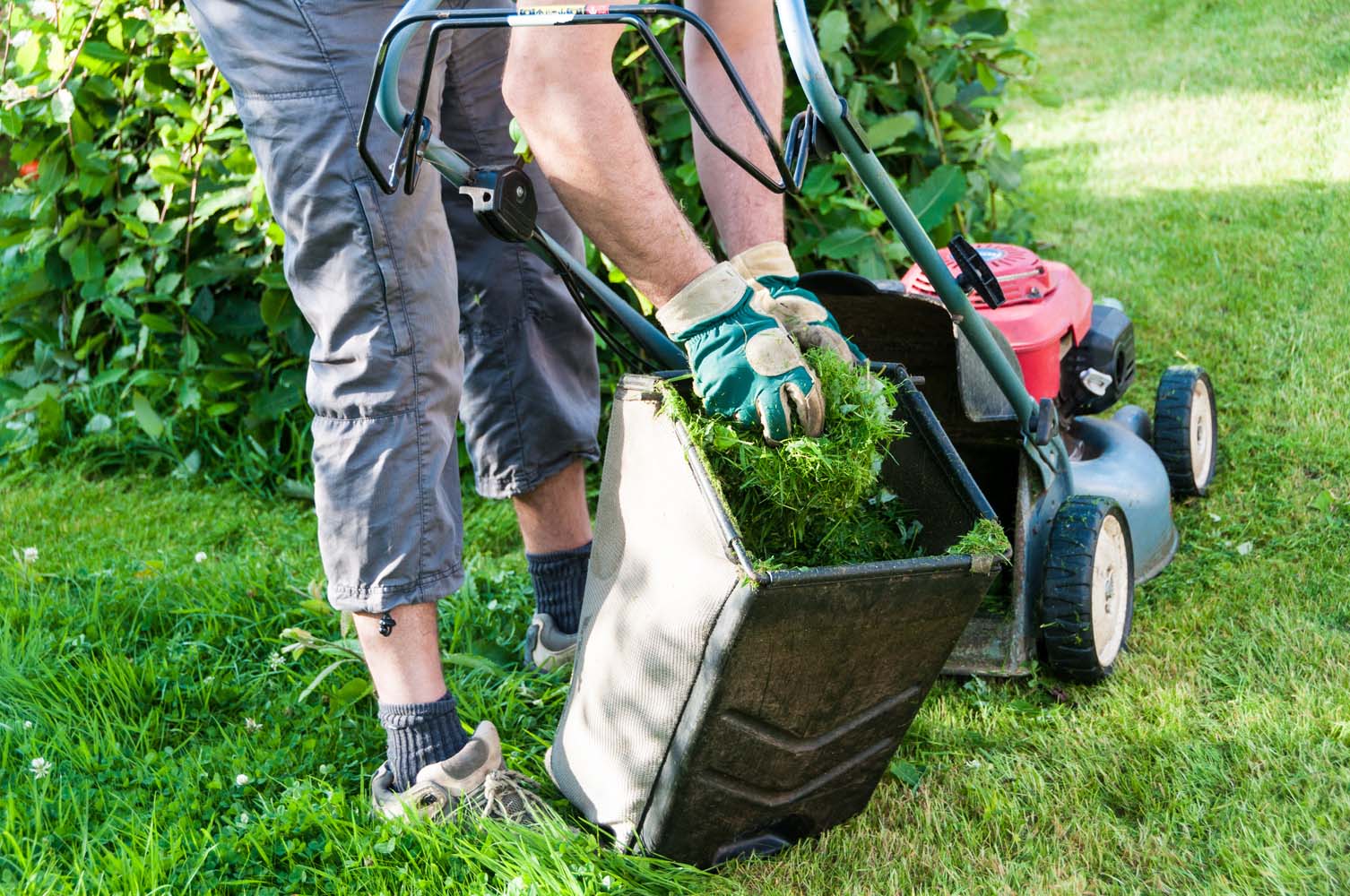 Landscaping Adds Value to Your Property