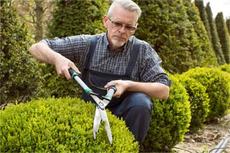 Carters landscaping detail