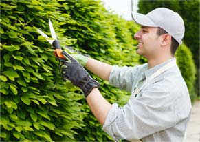 Carters lawn care work