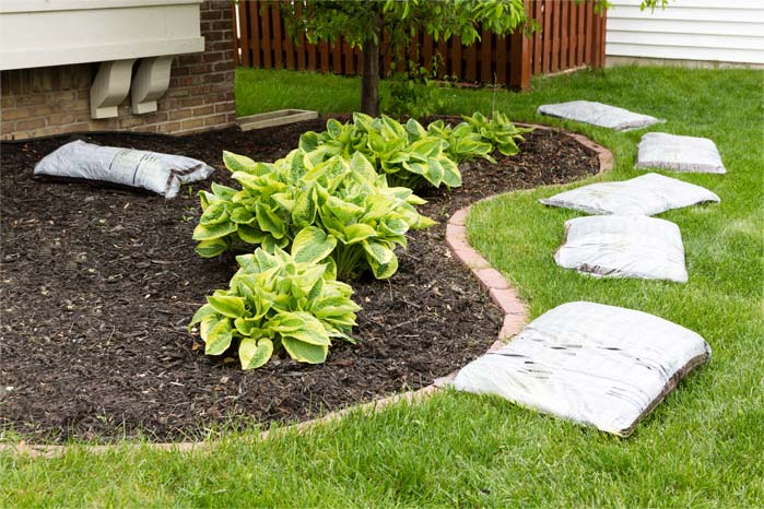 Landscape professional